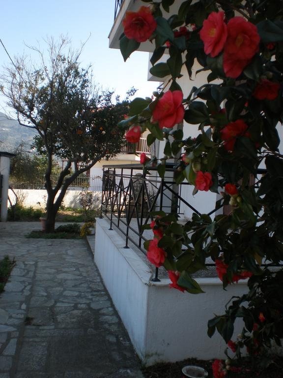 Karagiozos Studios&Apartments Skopelos Habitación foto